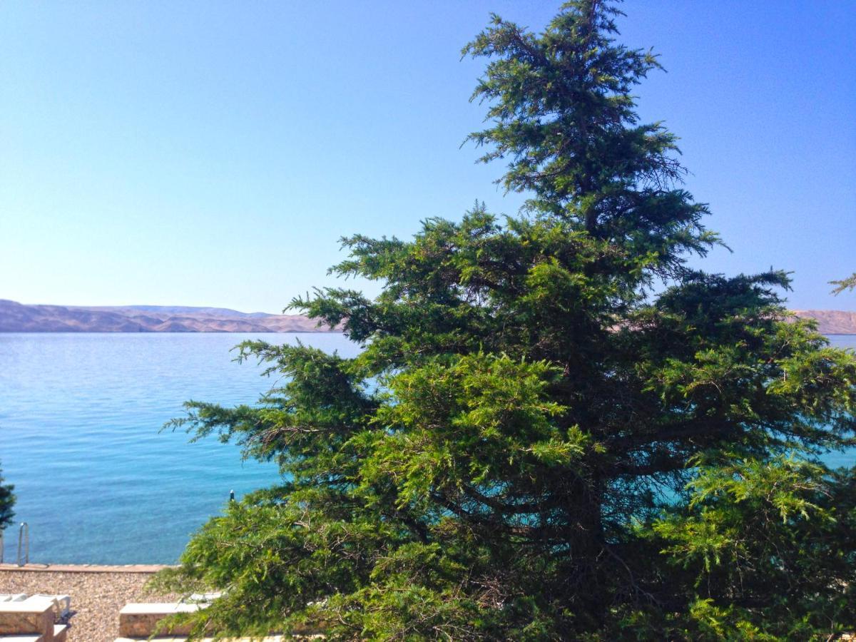Apartmani Ribarica**** Karlobag Buitenkant foto